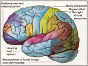 Neurofeedback inproves brain function